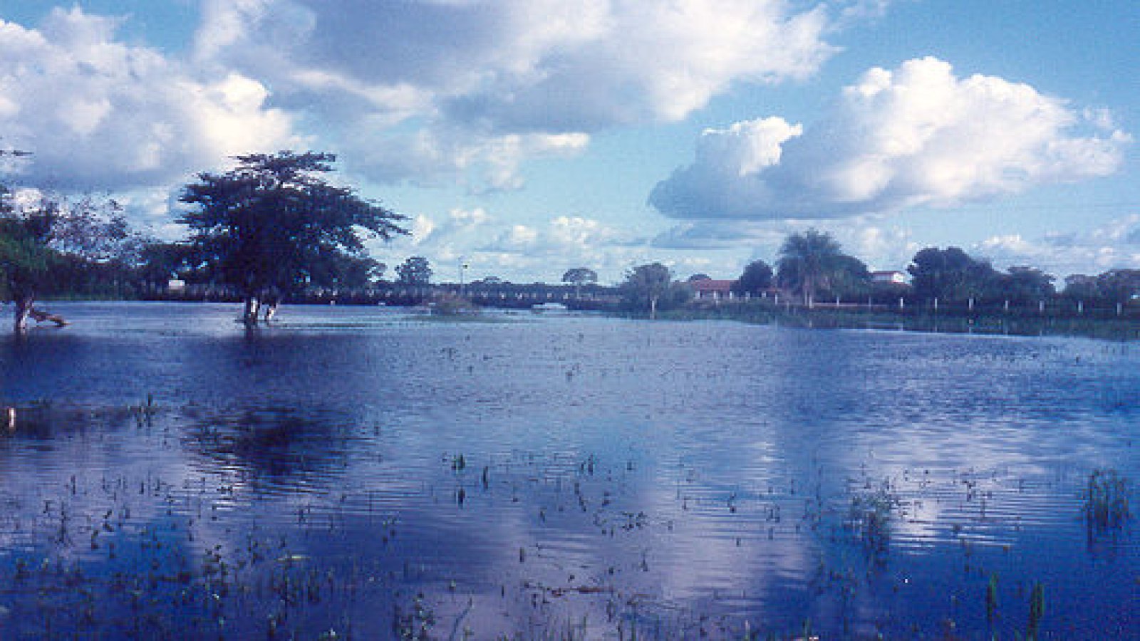 Mato Grosso do Sul — imagem padrão