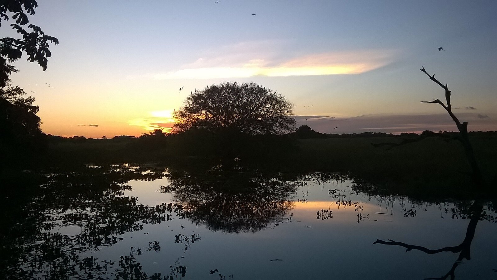 Mato Grosso do Sul — imagem padrão