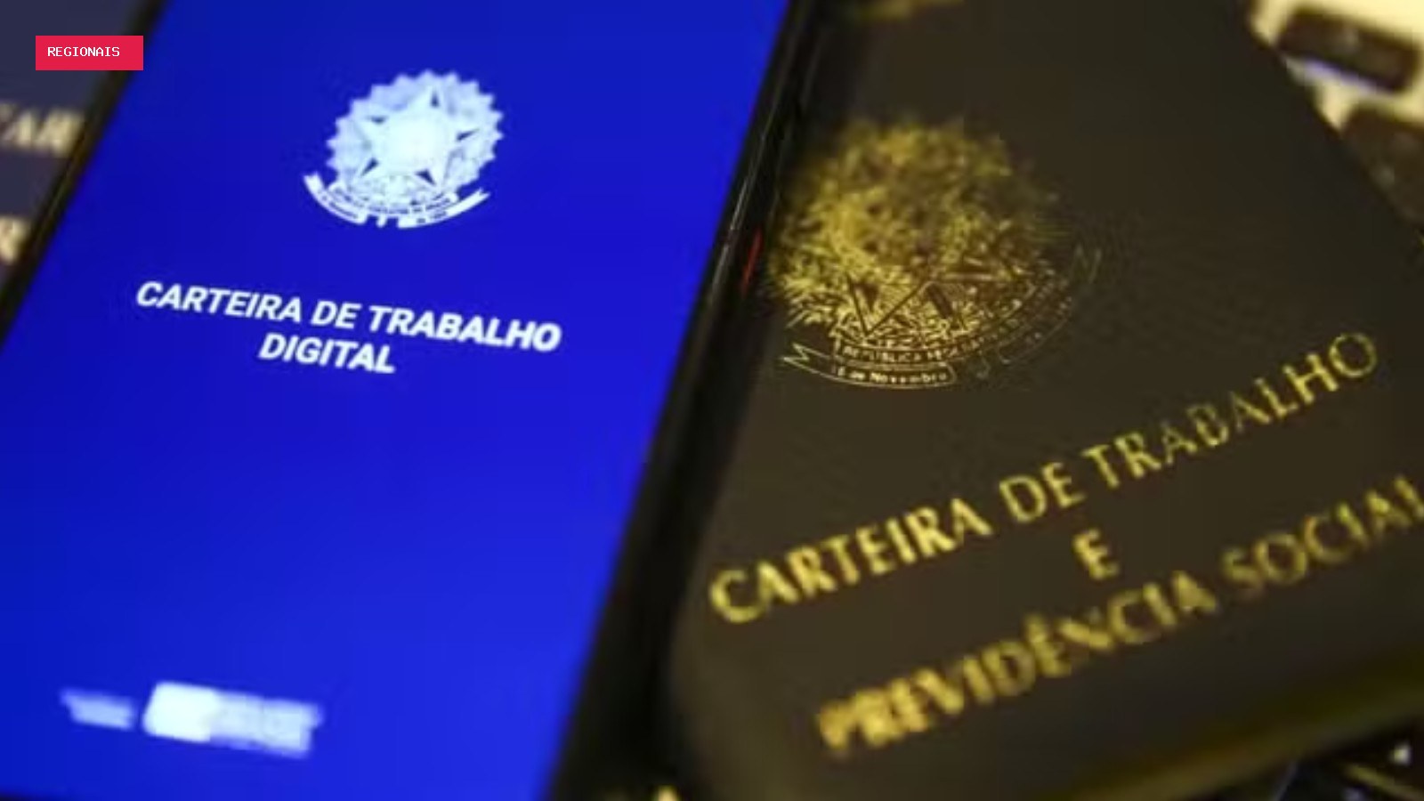 Feira de empregos em Curitiba oferece 988 vagas para pessoas com deficiência nesta quarta (26)