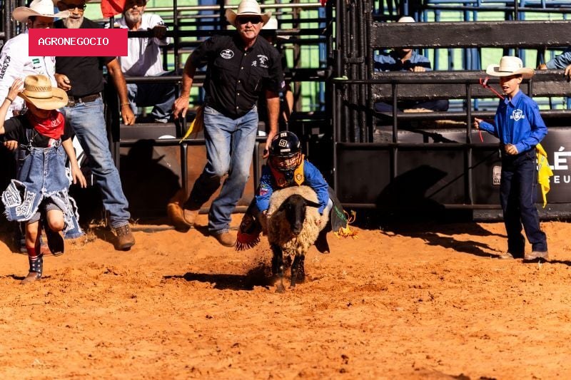 Aos 7 anos, Pedro Luiz vence primeira eliminatória da montaria em carneiros