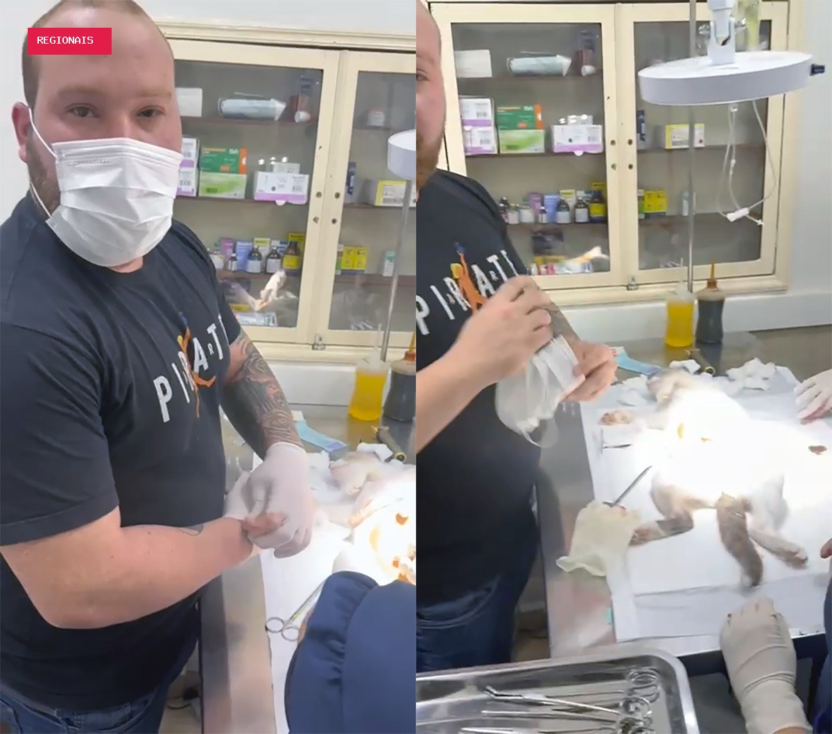 Justiça converte em preventiva prisão de falso veterinário flagrado operando gato em Duque de Caxias