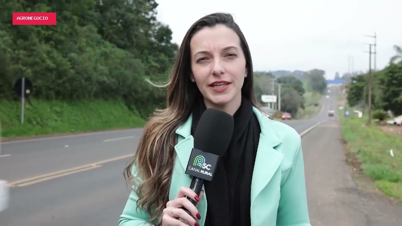 Desafios logísticos impactam crescimento do agronegócio em SC