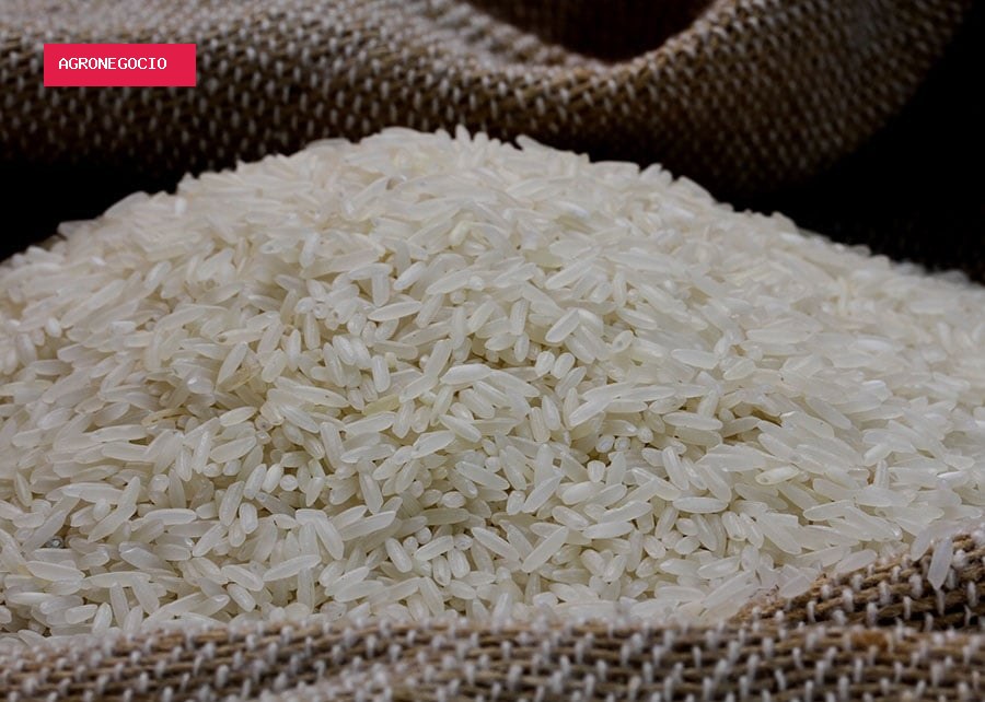 Abiarroz rebate critérios de levantamento que mediu qualidade do arroz Tipo 1