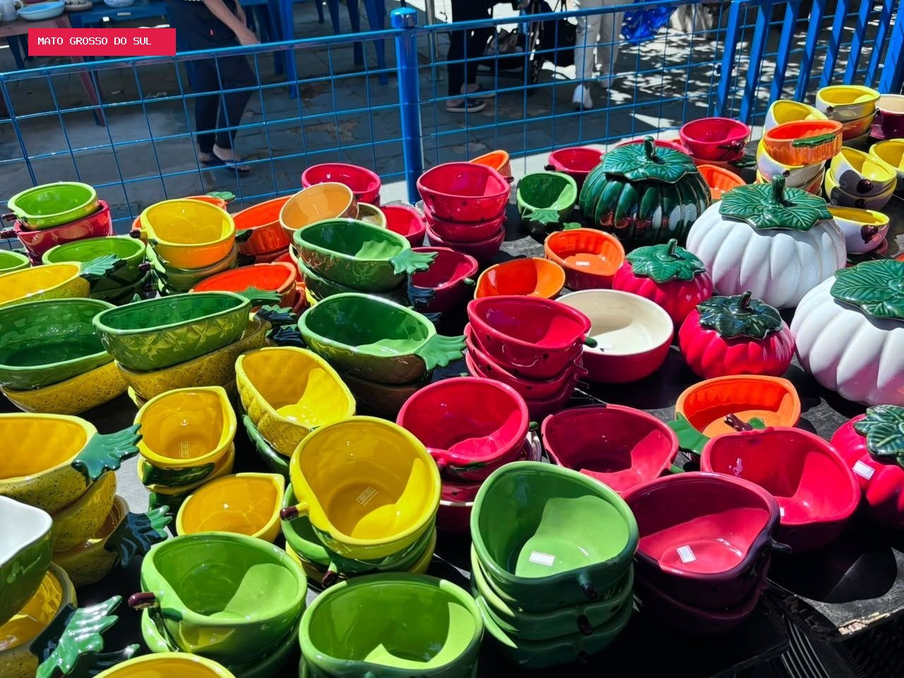 De cumbucas de frutas a pratos: feirão beneficente tem louças de porcelana a partir de R$ 5