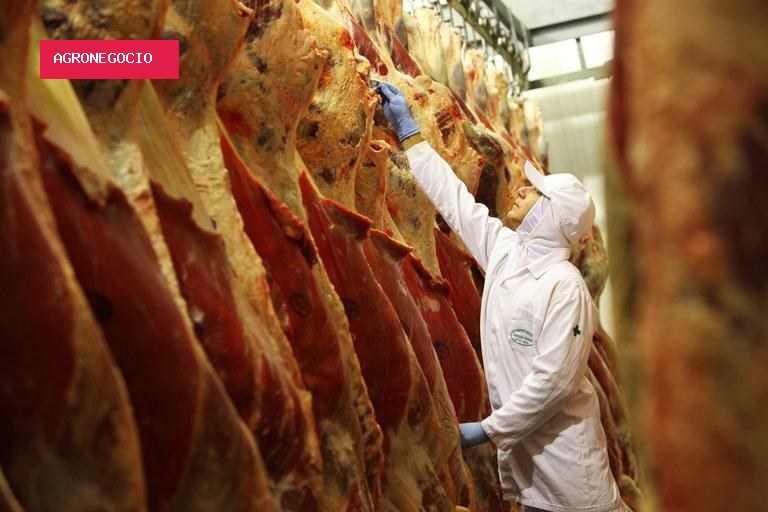 Após China reduzir compras de carne bovina, exportações brasileiras despencam