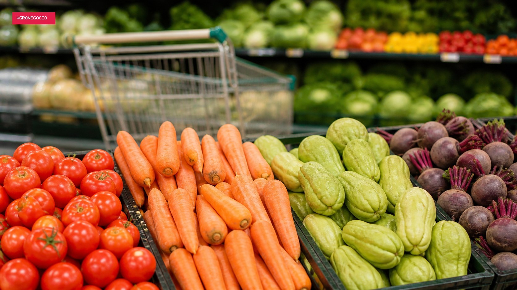 Vendas de supermercados sobem 1,1% em junho ante maio, mostra IBGE