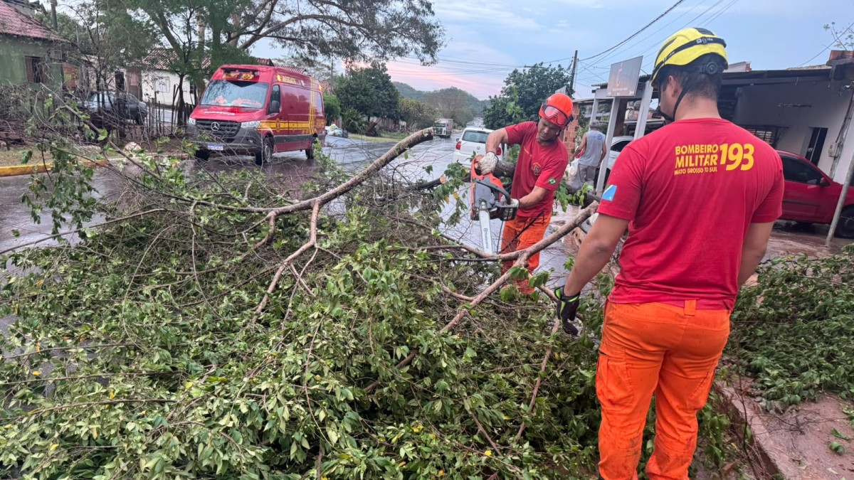 Bombeiros do 3º GBM cortam com motosserra árvore derrubada pelo temporal em Corumbá