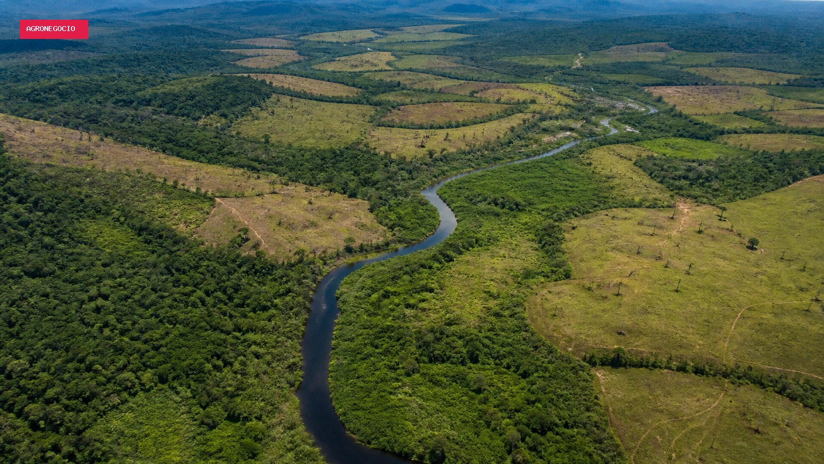 BNDES libera R$ 180 milhões do Fundo Clima para restauração no Pará