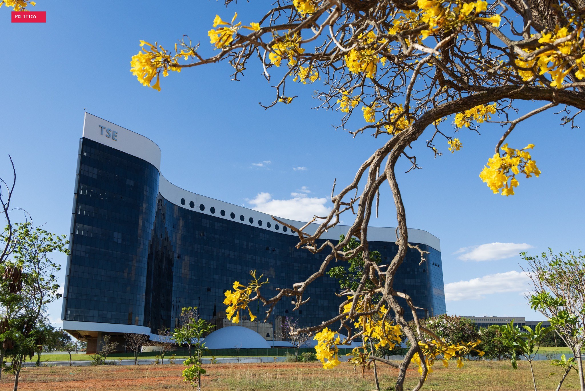 TSE amplia exigências para registro de pesquisas eleitorais; institutos criticam mudança nas regras durante