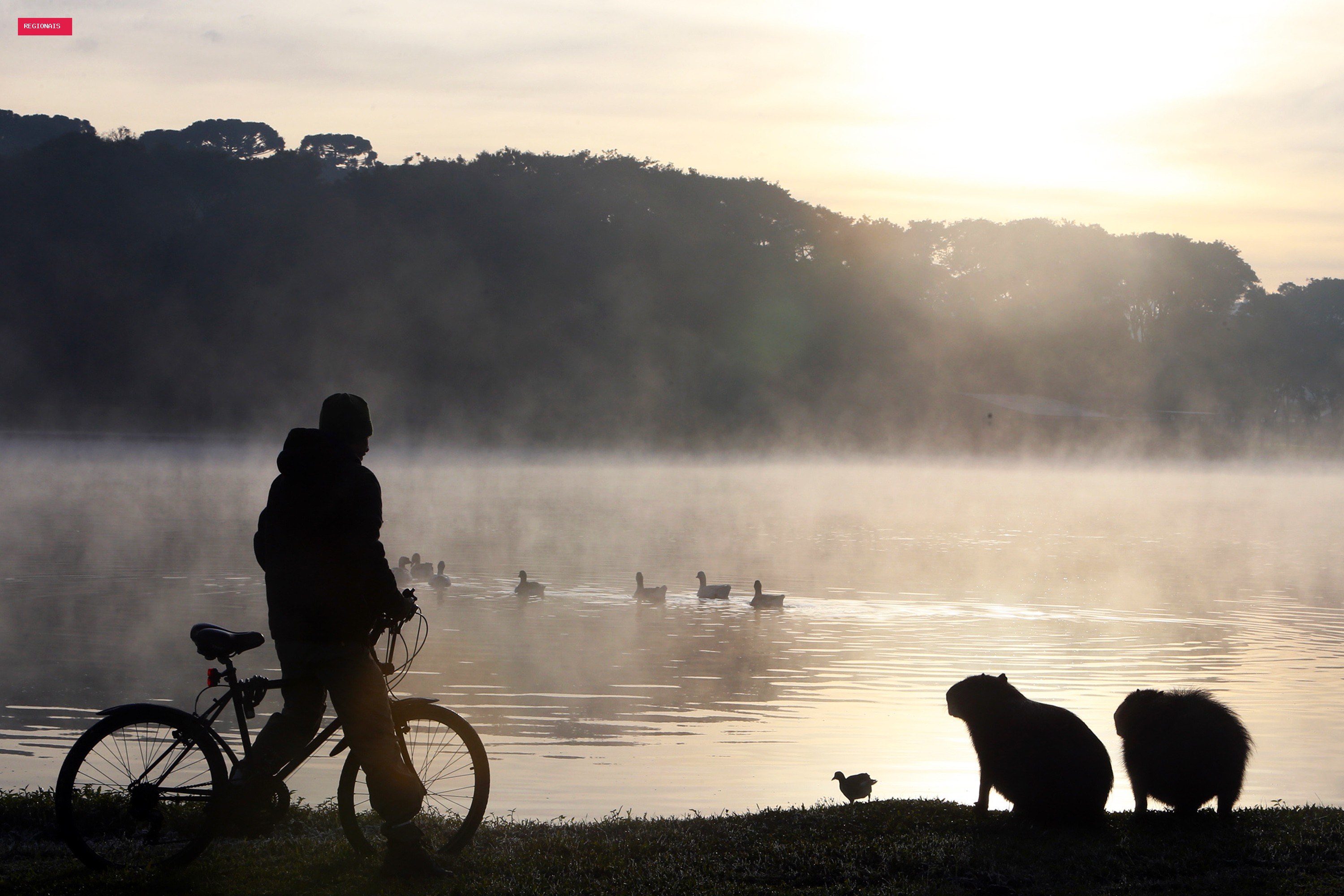 Paraná recebe alerta de queda de temperatura e mínimas podem chegar a 3°C no feriado