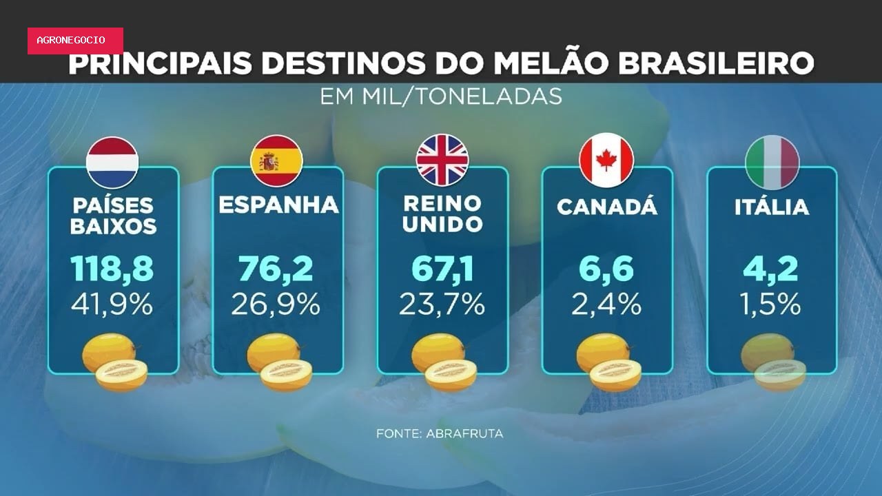 Exportação de melão brasileiro enfrenta desafios e oportunidades em 2023