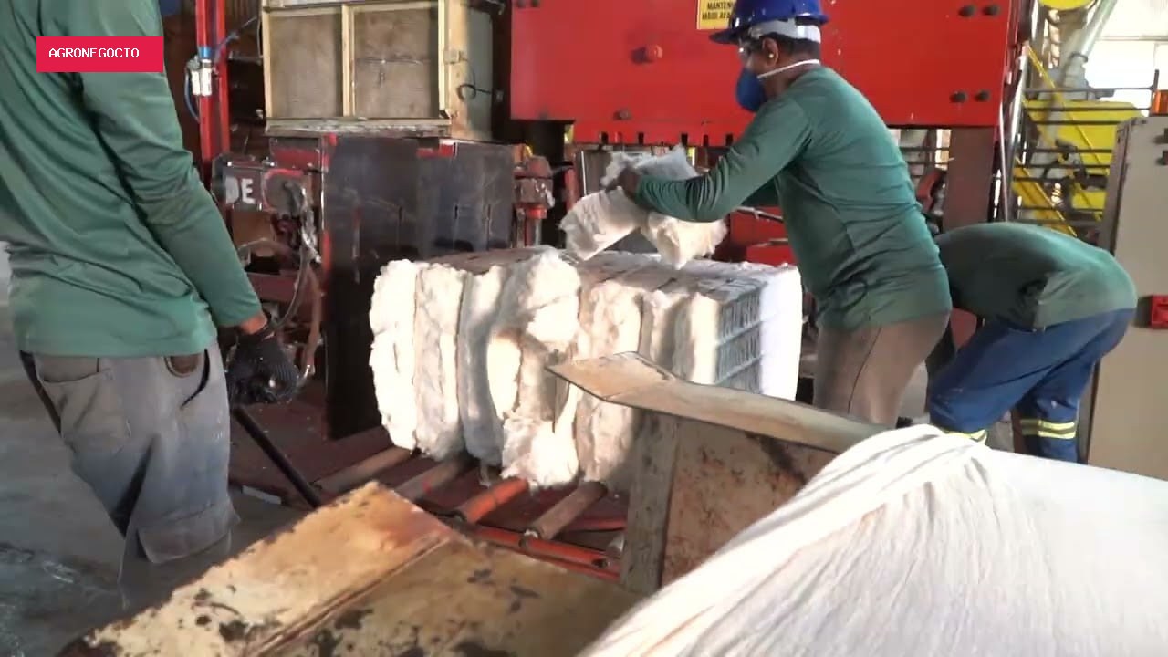 Brasil atinge limite de cota de exportação de carne bovina à China