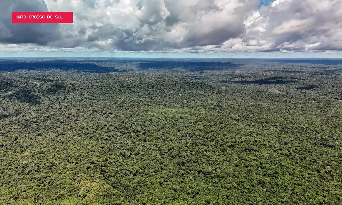 Devastação ameaça sistema de chuvas da Amazônia e pode afetar toda a América do Sul