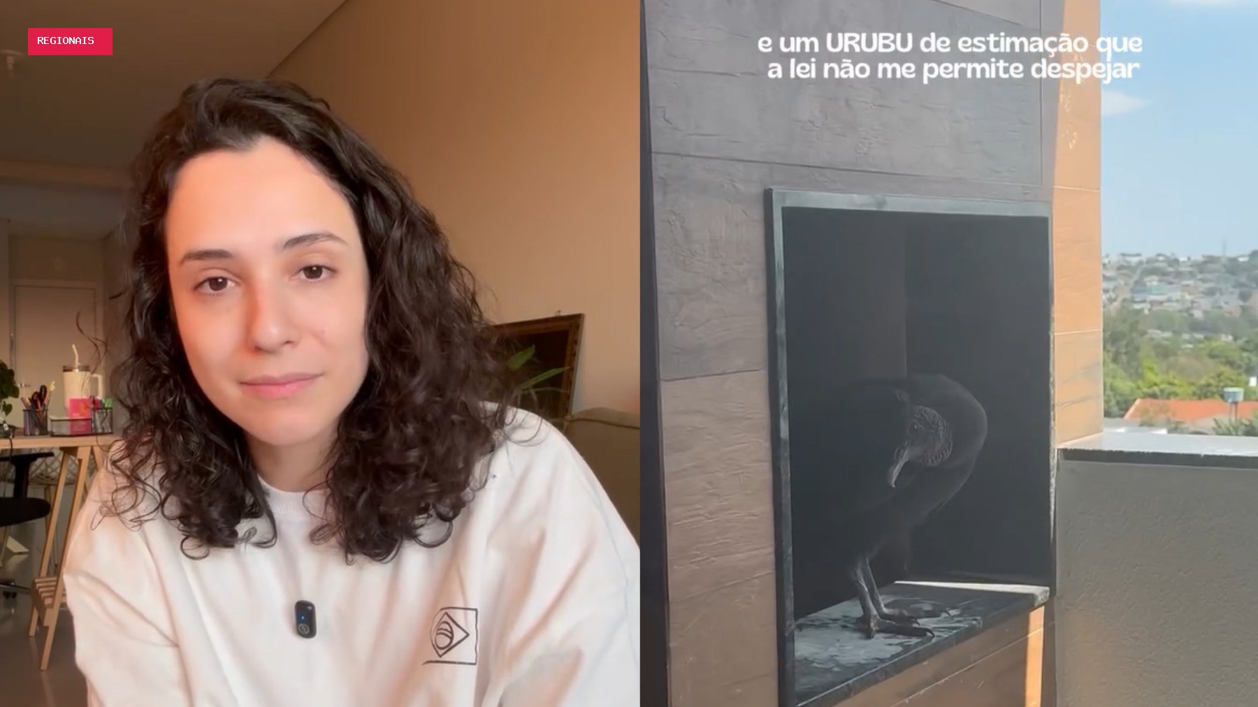Moradora volta de viagem, encontra ninho de urubu na churrasqueira e descobre que não pode 'expulsá-lo' do