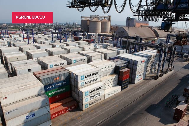 Semana do boi gordo mostra que arroba ainda tem espaço para novas altas