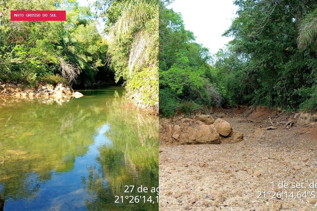 Antes e depois: em 4 dias, trecho do Rio da Prata seca completamente e ameaça peixes em MS