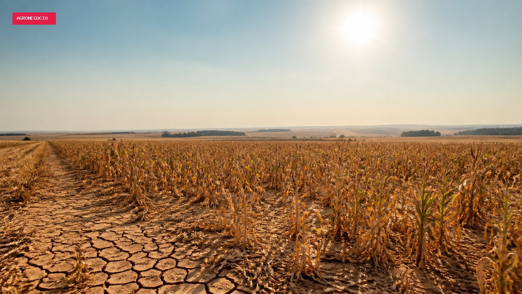 Onda de calor mantém cidades acima de 40°C até terça-feira