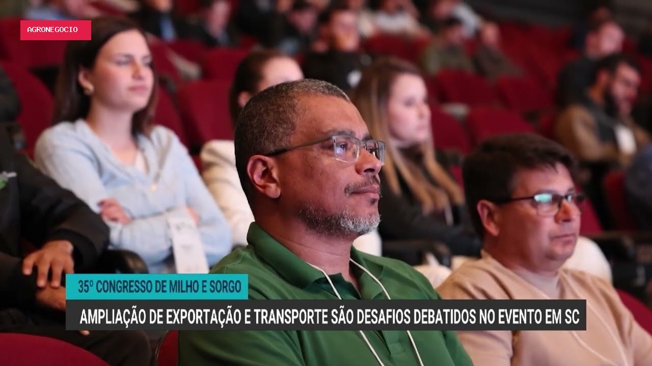 Desafios na produção e transporte de milho no Brasil em debate