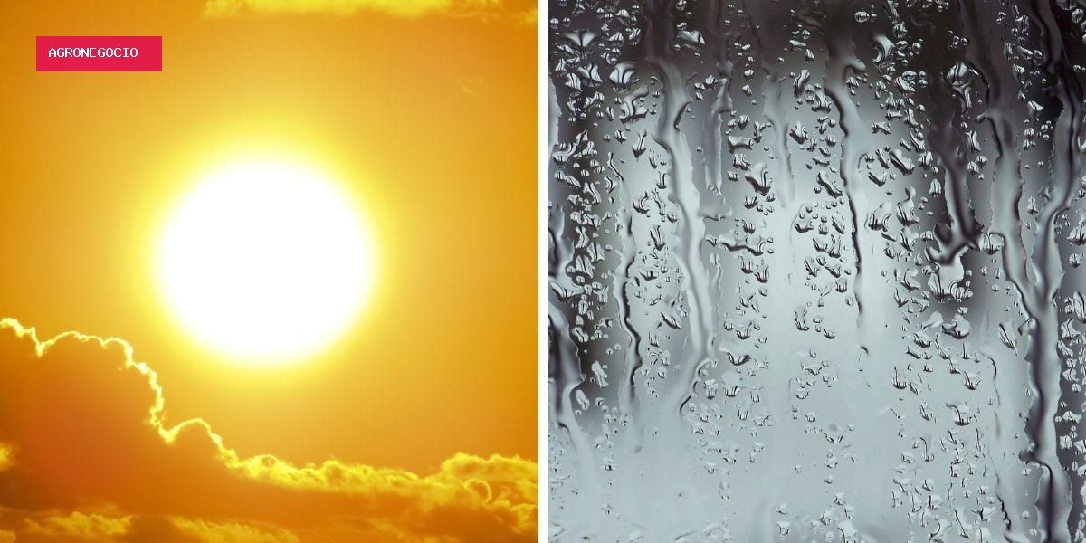 Chuva de até 100 milímetros, granizo e calor de 42°C: a previsão para a semana
