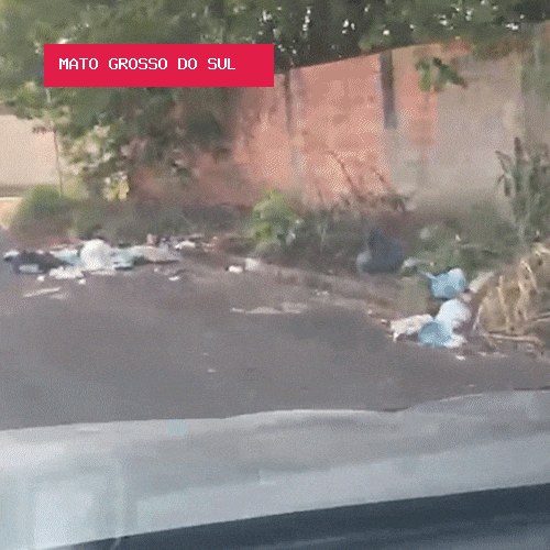 Lixo e mato alto tomam ruas e fazem moradora evitar até passeio com cachorro