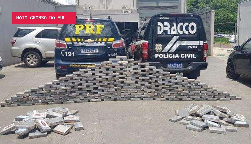 Mais de meia tonelada de drogas que deveria sair das ruas voltou ao tráfico