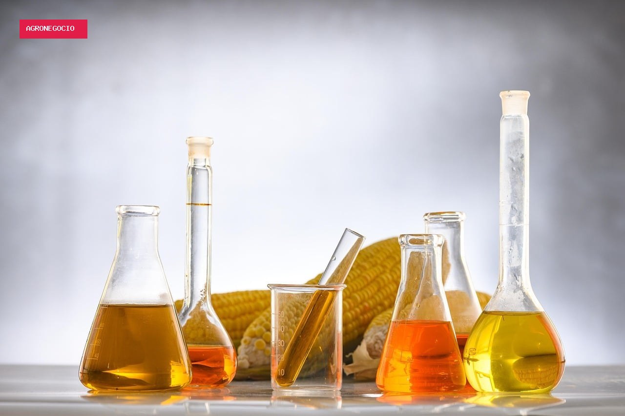 Biomassa para produção de etanol de milho pode render R$ 4,2 mil/ha ao produtor de MT