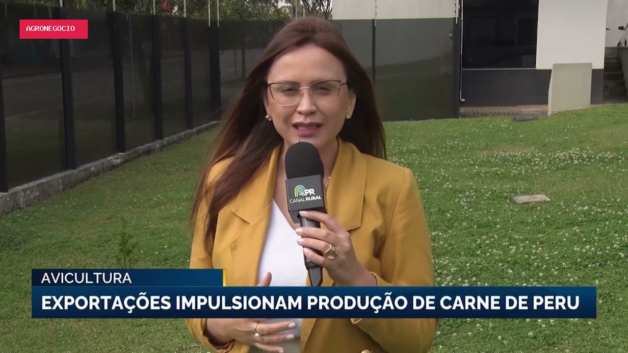 Produção de carne de peru no Brasil cresce após década de retração