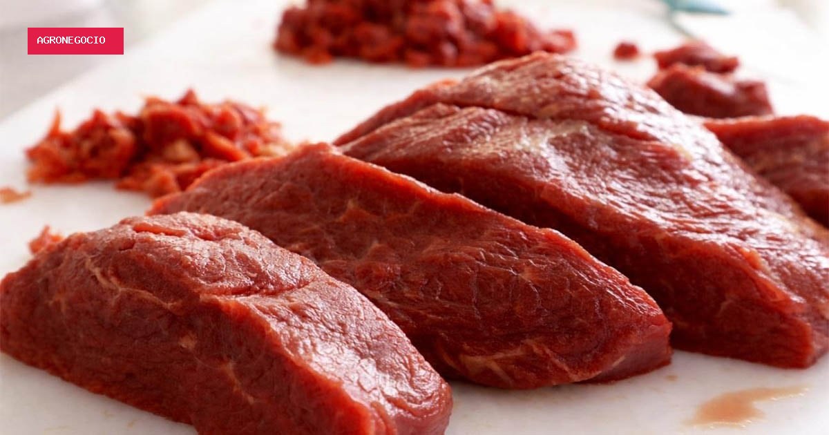 Preços do boi gordo finalizam a semana em nova alta: as cotações