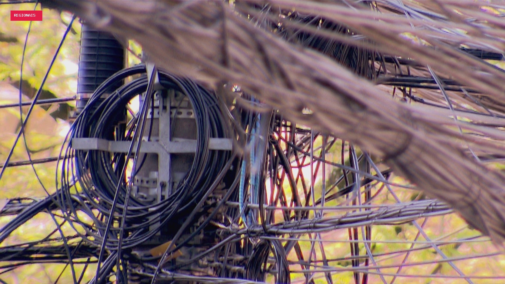 Energia furtada no RJ é capaz de abastecer casas do Espírito Santo por 1 ano, e Light diz que 70 km de