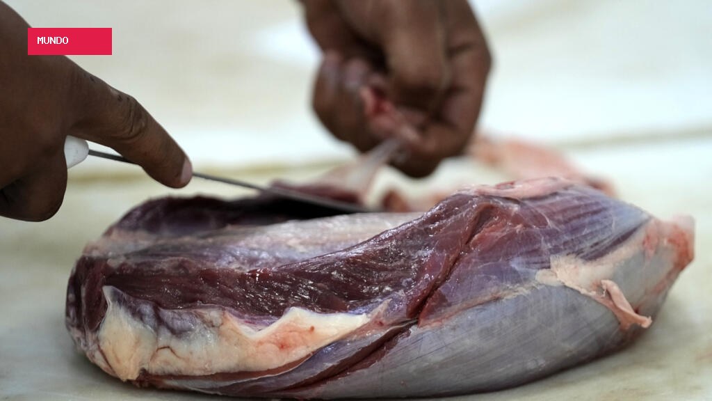 EU suspends Brazilian meat imports over antibiotic compliance concerns