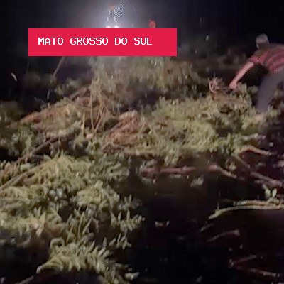 Sul de MS entra em área com risco de tornados na quinta-feira