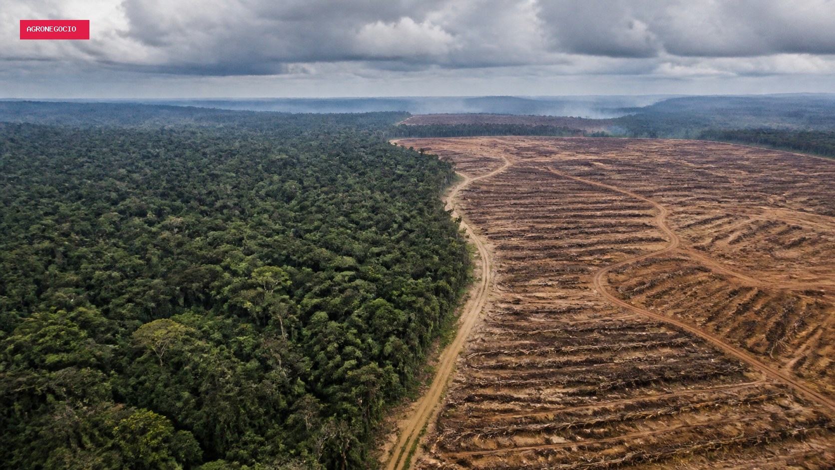 Cientistas alertam para risco de colapso da “máquina de chuva” da Amazônia