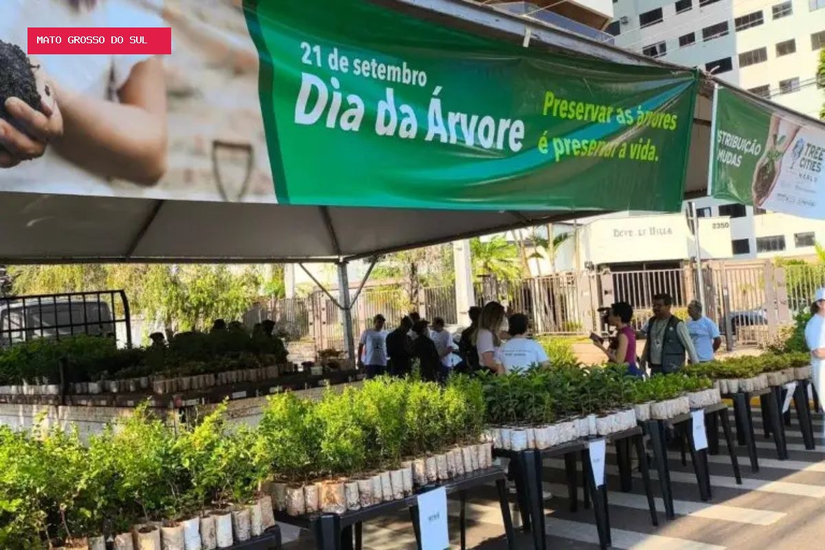 Campo Grande distribui 10 mil mudas de árvores frutíferas de graça neste sábado