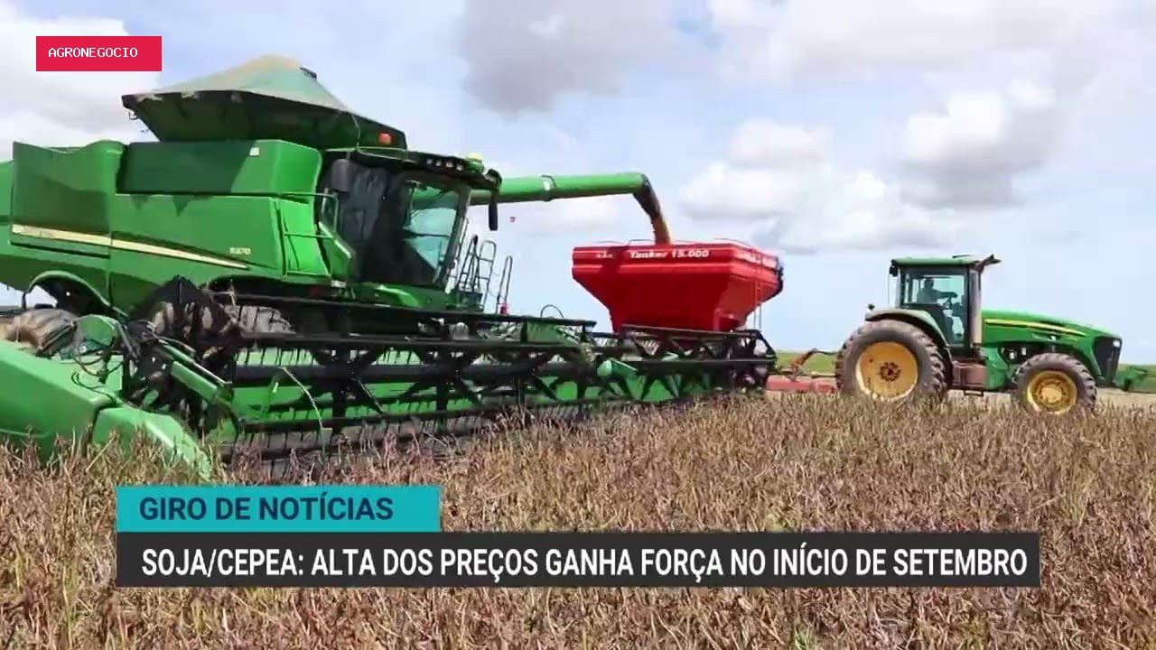 Exportação de carne bovina do Brasil recua 27% em agosto de 2023