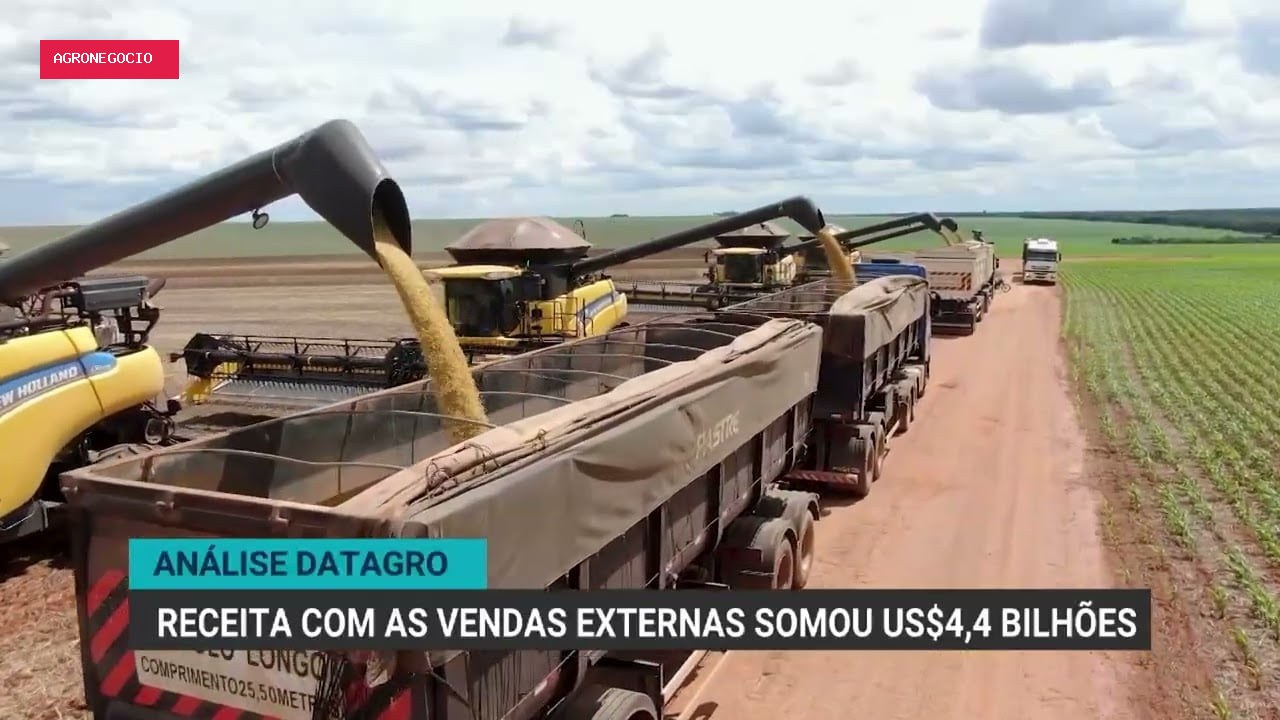 Exportações de soja crescem 5,2% em agosto e milho enfrenta queda
