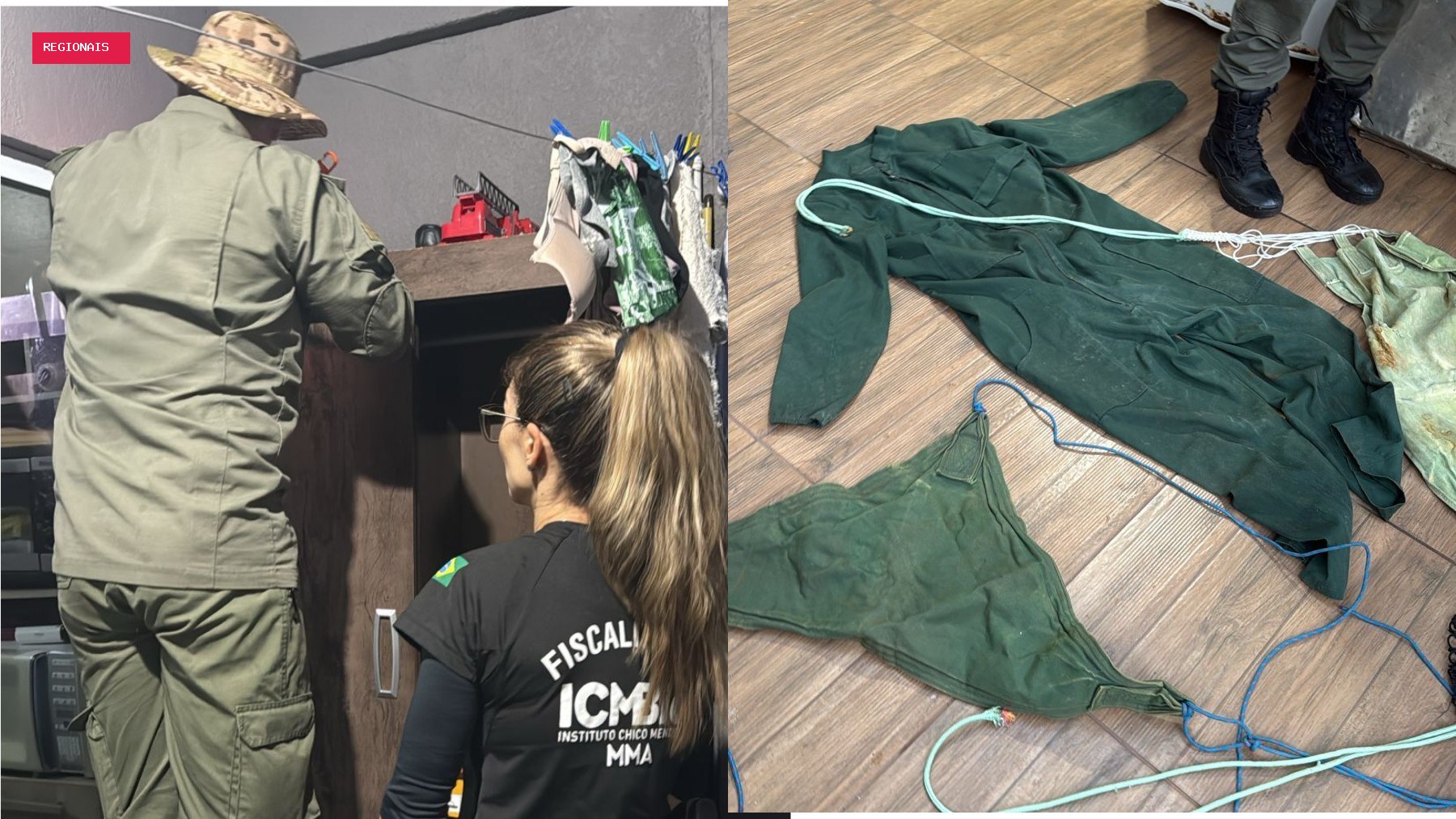 Operação da PF mira suspeitos de invadir área protegida do Paraná à noite para caçar animais ameaçados de