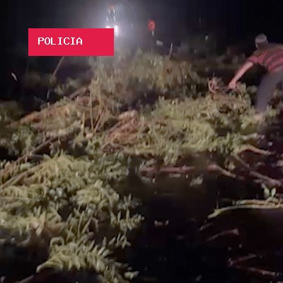 Temporal derruba postes e deixa 2 cidades sem energia e internet há 14 horas