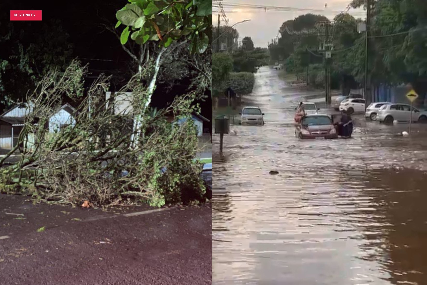Alagamentos, queda de árvores e granizo: temporais provocam estragos no Paraná