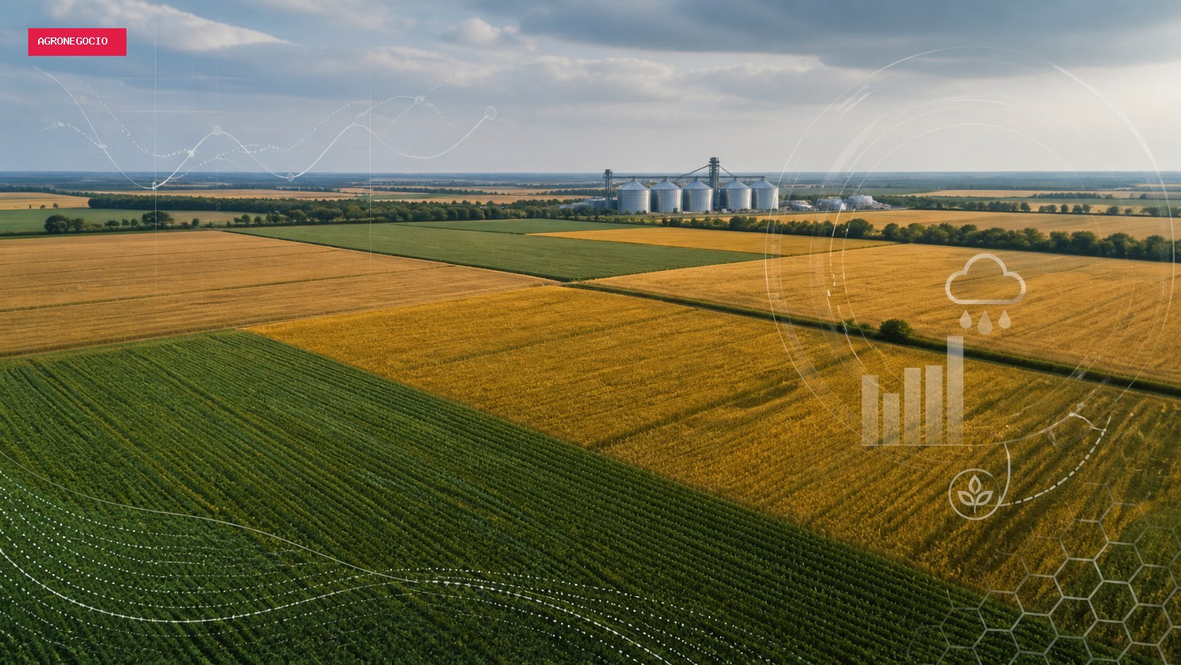 Conab apresenta na terça-feira estudo com perspectivas para a agropecuária 2026/2027