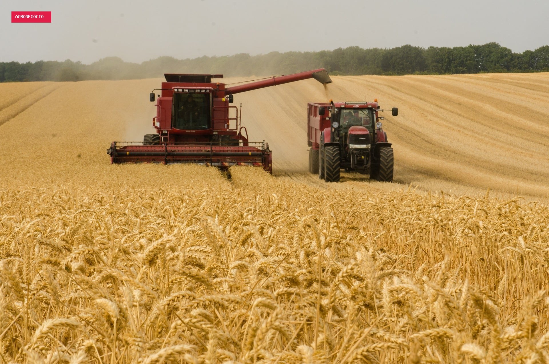 Agropecuária cresce 2,8% e impulsiona PIB, que avança 0,5% no 2º trimestre de 2026