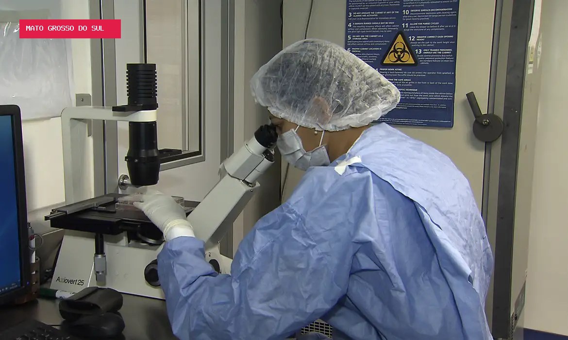 Prêmio para jovens cientistas tem inscrições abertas até outubro