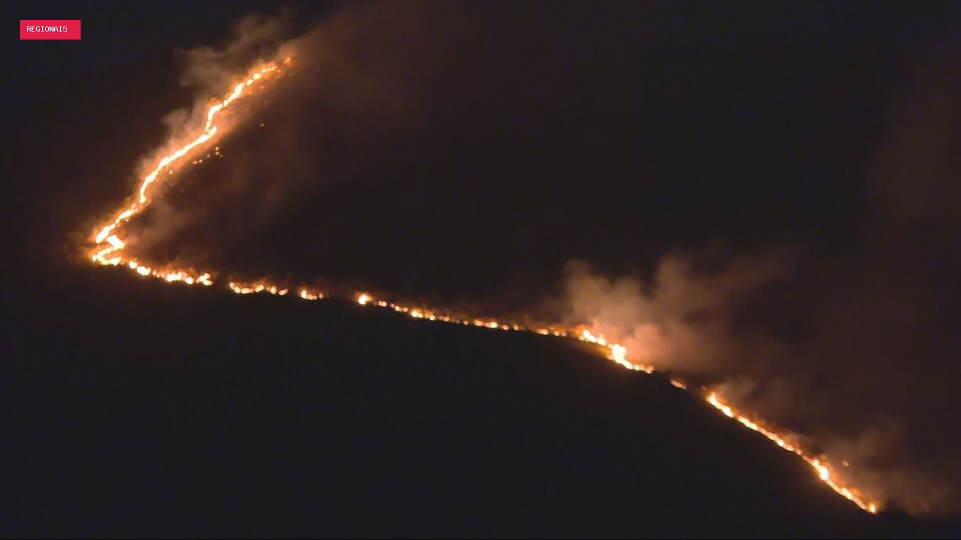 Minas teve 82 mil hectares queimados em 2026; mais de 5 mil inquéritos sobre incêndios foram abertos desde
