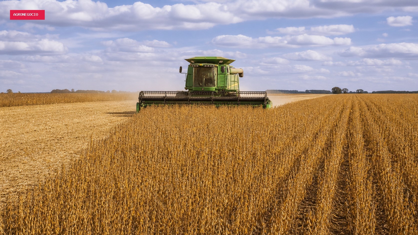 Mercado de soja recua no Brasil com pressão de Chicago após relatório do USDA