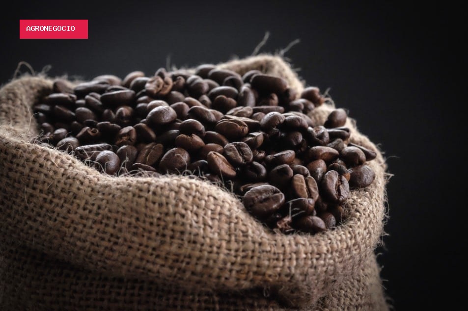 Vendas da safra 26/27 de café alcançam 41%, mas seguem muito abaixo da média