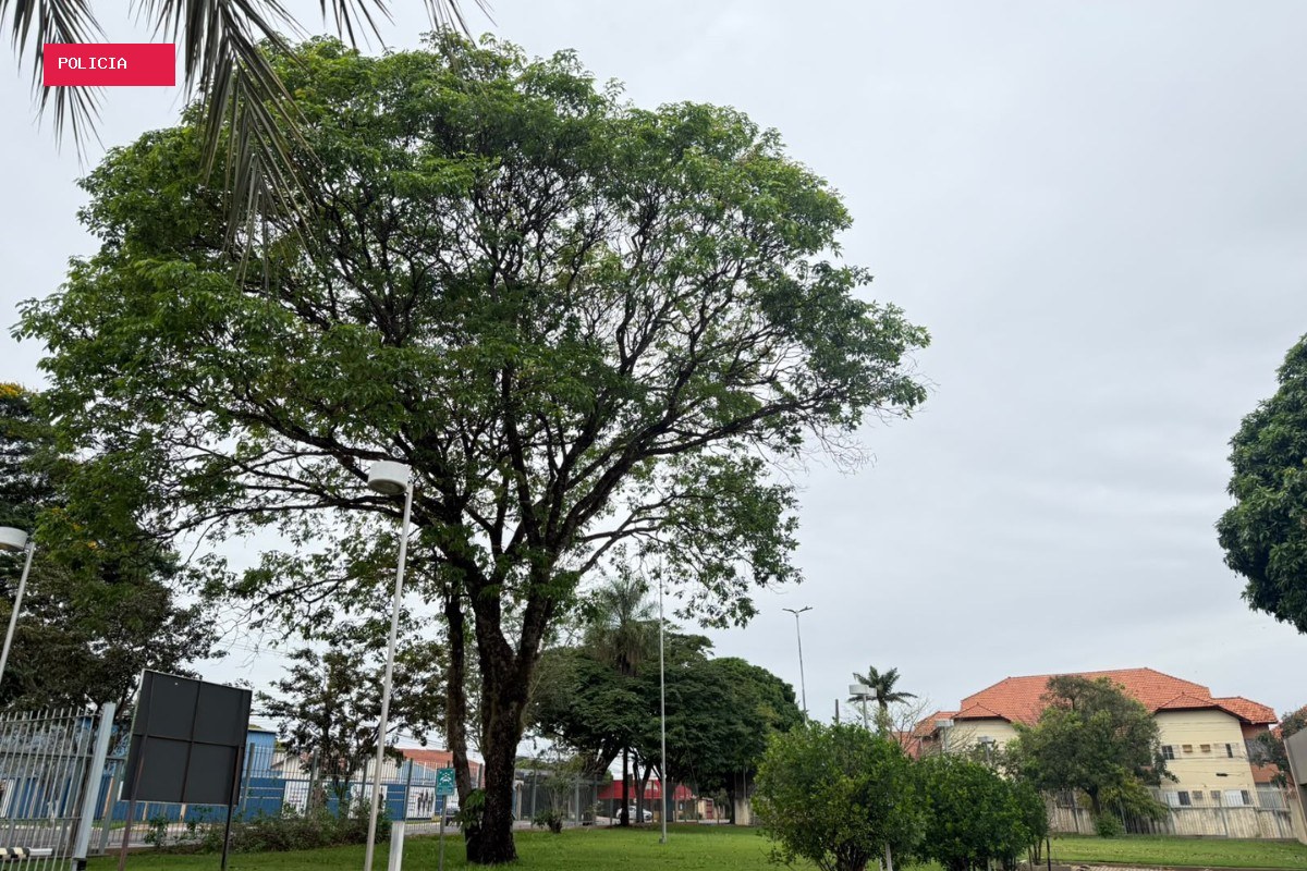 Frente fria derruba temperaturas, e feriado deve ser ainda mais gelado em MS