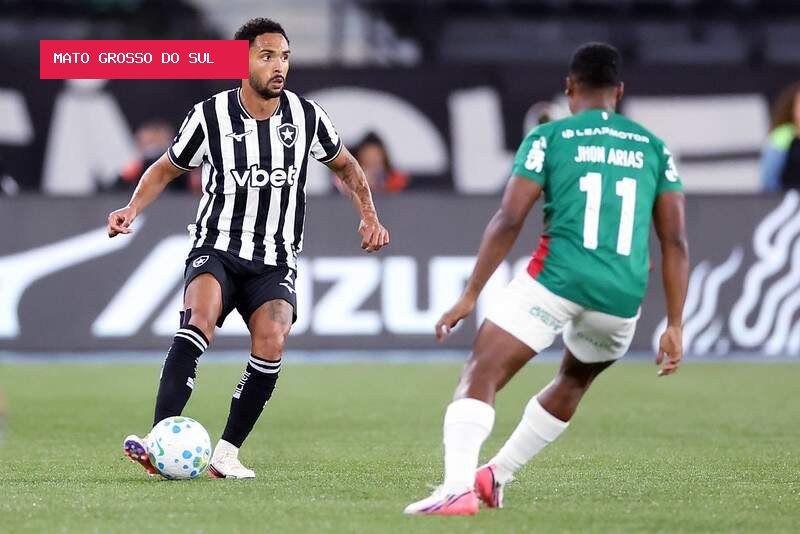Palmeiras empata com Botafogo e perde liderança para o Flamengo