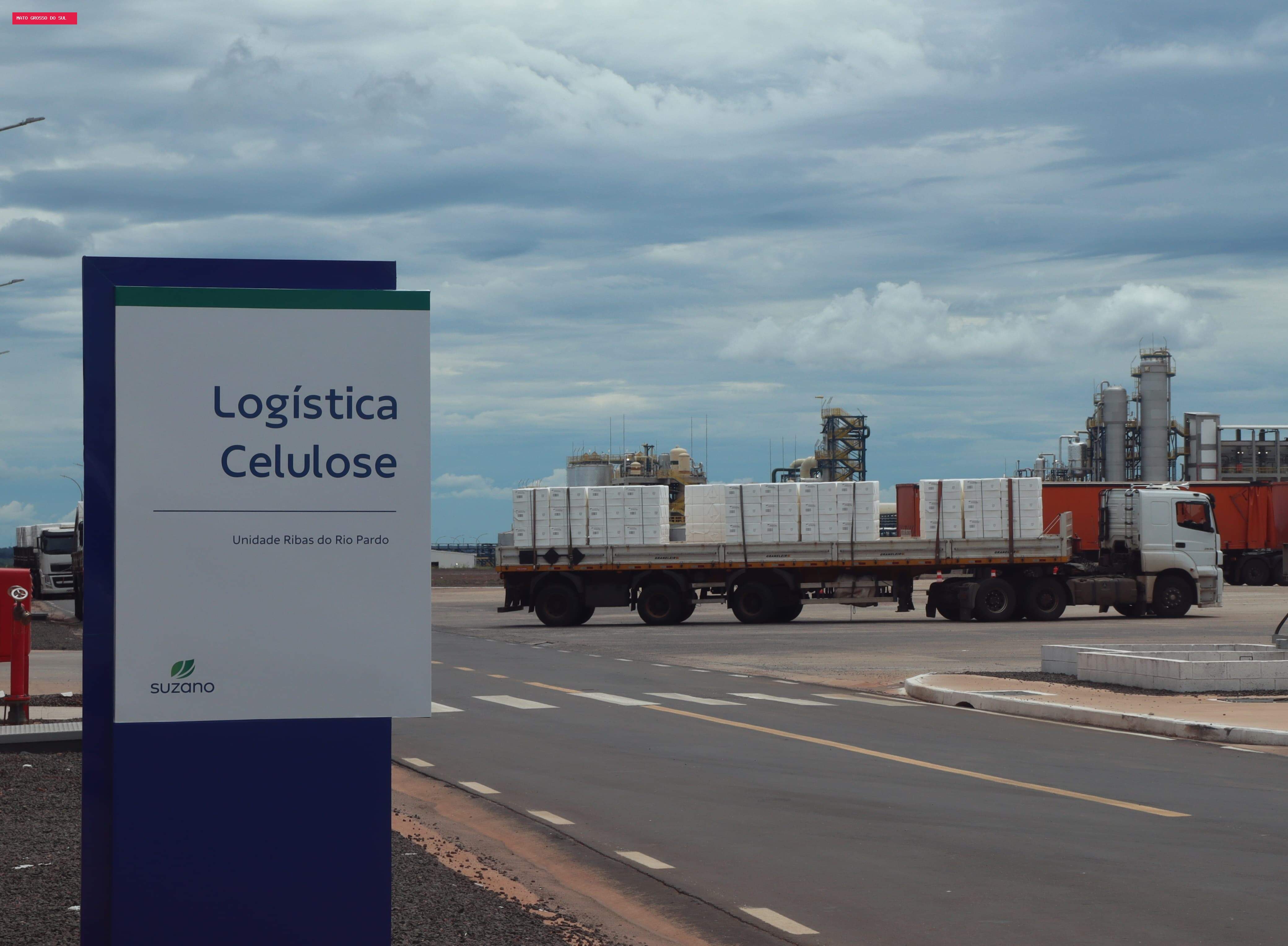 Celulose transforma perfil industrial de MS com salto em produção e exportações