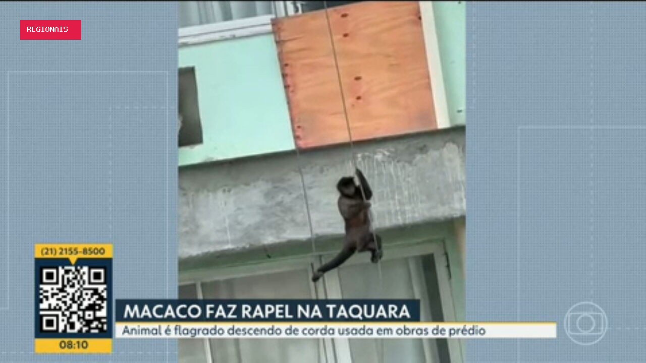 Bom Dia Rio de segunda, 7 de setembro de 2026