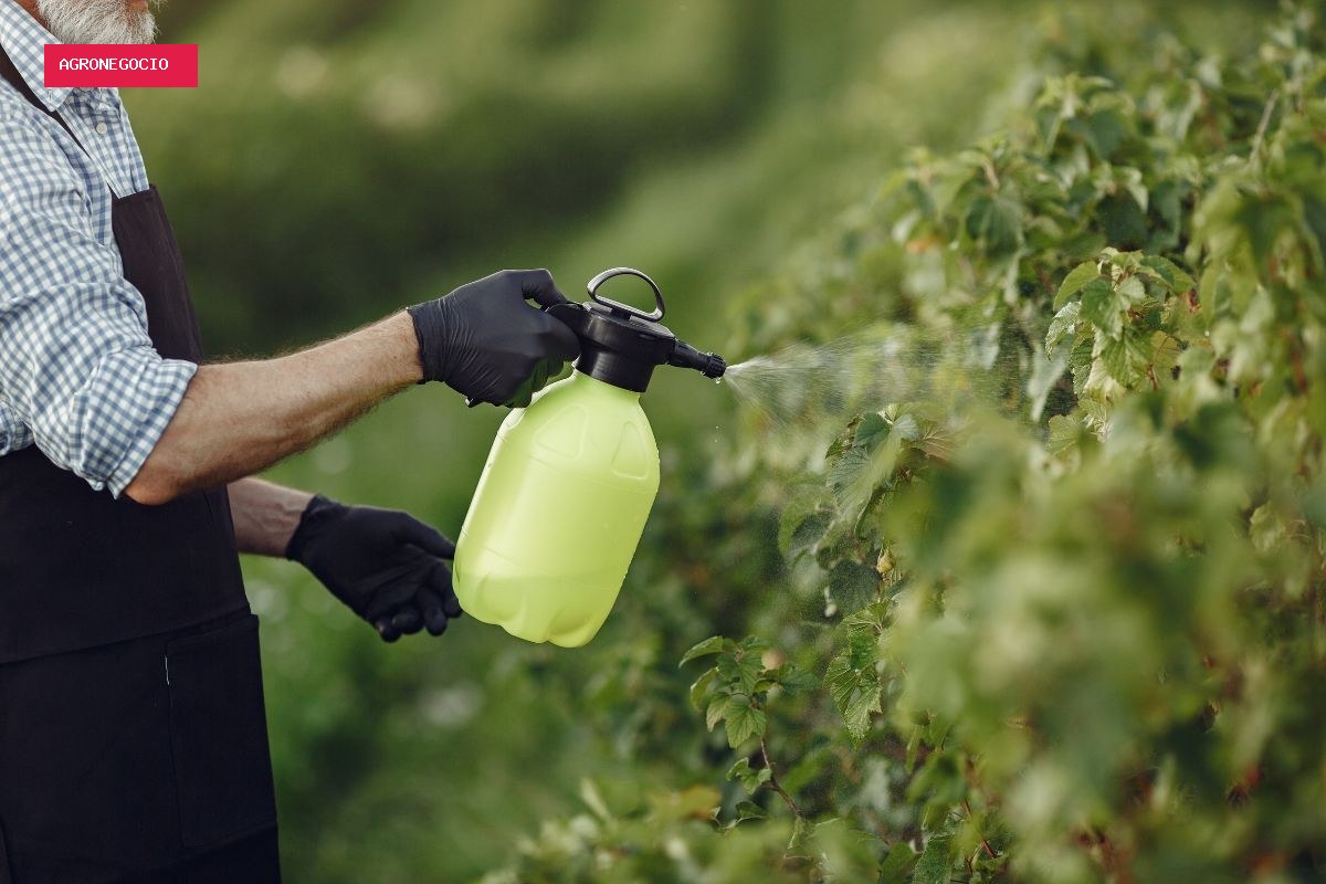 Justiça suspende registro de novos agrotóxicos à base de glifosato por 90 dias em todo o país