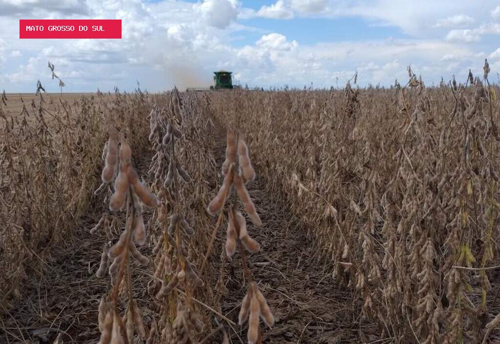 Produtores ganham nova chance para renegociar dívidas rurais